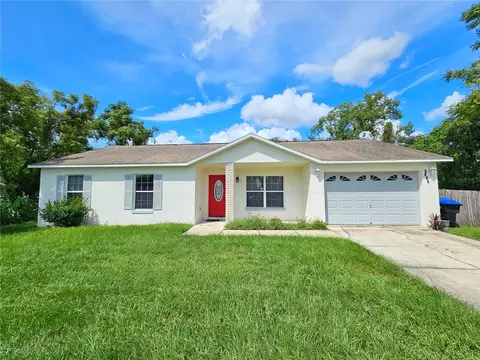 6607 Willow St, Mount Dora, FL 32757