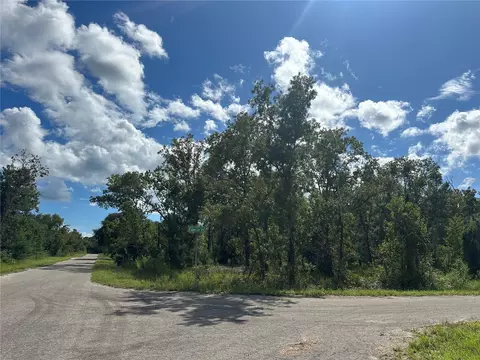 tbd Fisher Lane Trce, Ocklawaha, FL 32179