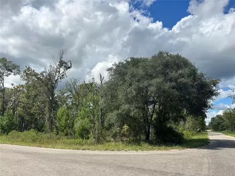 tbd Fisher Lane Trak, Ocklawaha, FL 32179