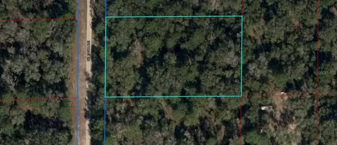 81 NE 100 Ave, Bronson, FL 32621