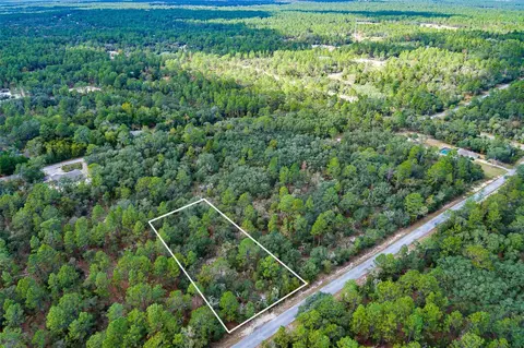 SW Big Tree Road, Dunnellon, FL 34431