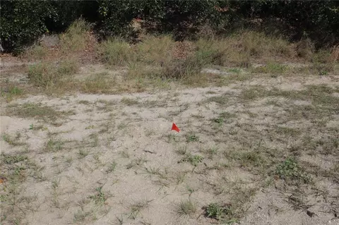 36 Mar Azul N, Ponce Inlet, FL 32127
