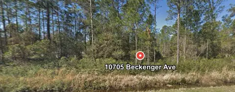 10705 Beckenger Ave, Hastings, FL 32145