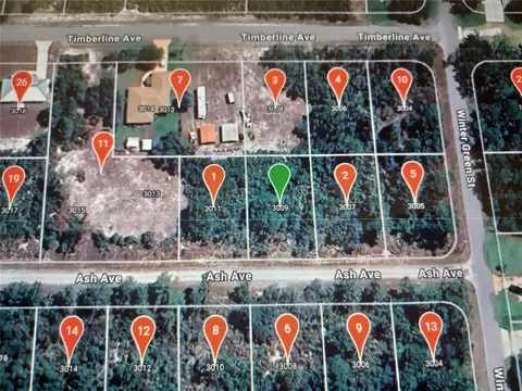 3009 Ash Ave, Lake Placid, FL 33852
