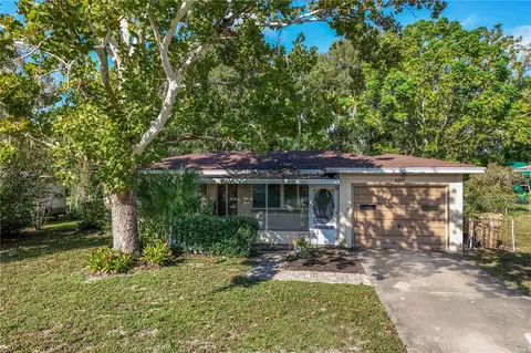 807 Norman Dr, Mount Dora, FL 32757
