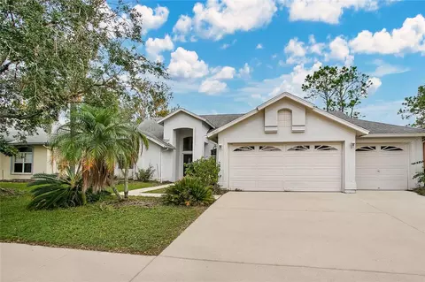28151 Brokenmead Path, Wesley Chapel, FL 33543