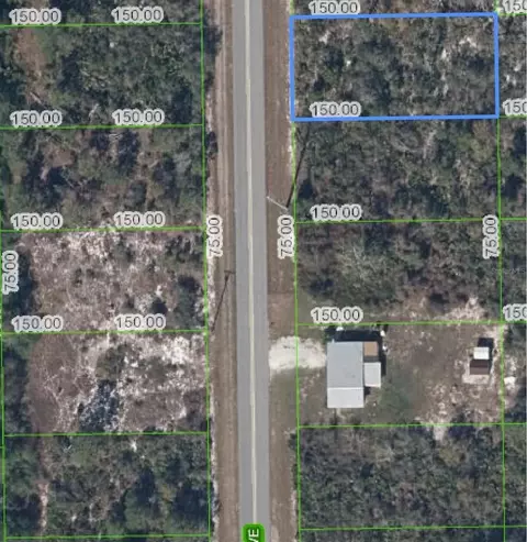 411 Hallmark Ave, Lake Placid, FL 33852