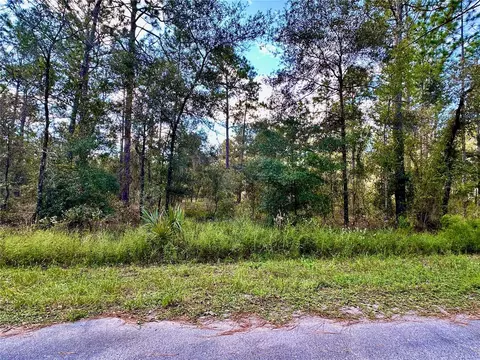 lot16 NW Summerfield Ave, Dunnellon, FL 34431