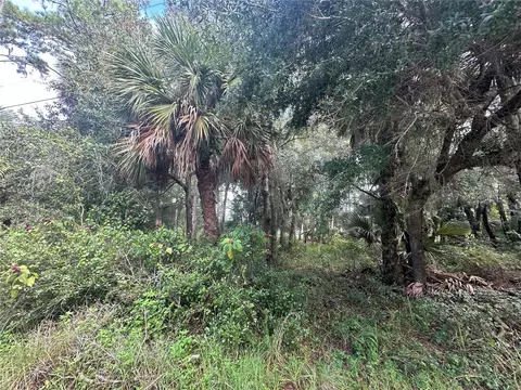 Pervis Lane, Osteen, FL 32764