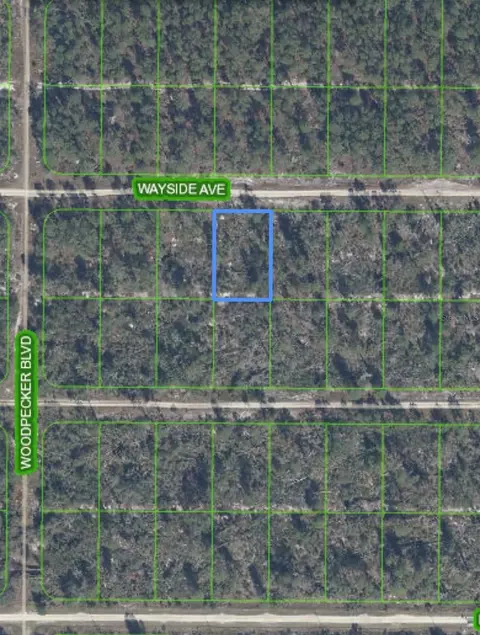 467 Wayside Ave, Sebring, FL 33872 photo 1