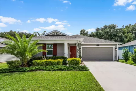 5017 Tanzanite Dr, Mount Dora, FL 32757