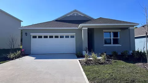 1193 Alstonia Ln, Mount Dora, FL 32757