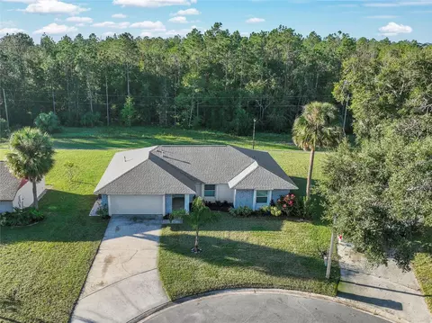 950 Amy Ridge Ct, Kissimmee, FL 34747