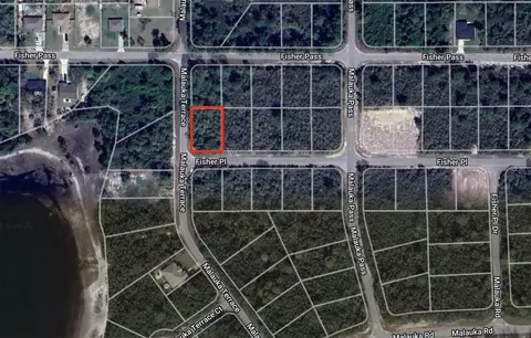 Fisher Place, Ocklawaha, FL 32179
