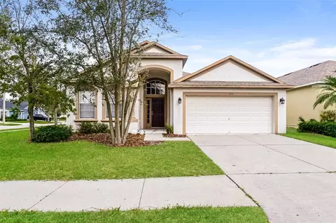 7314 Forest Mere Dr, Riverview, FL 33578 photo 1