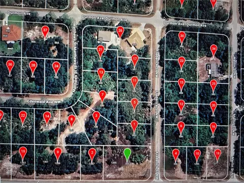 355 Frederick St NW, Lake Placid, FL 33852