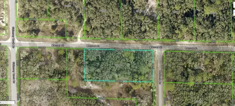 Manuel Street, Webster, FL 33597