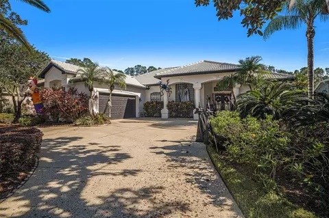 18705 Chemille Dr, Lutz, FL 33558