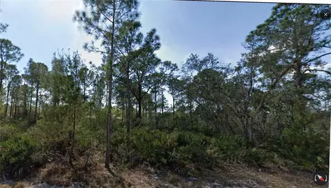 1158 Cockatoo Ave, Lake Placid, FL 33852