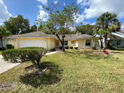 10233 Water Hyacinth Dr, Orlando, FL 32825