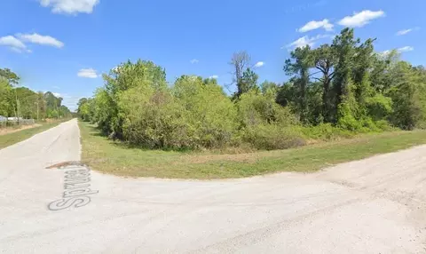lot21 Lot 22 Spruce Dr, Georgetown, FL 32139