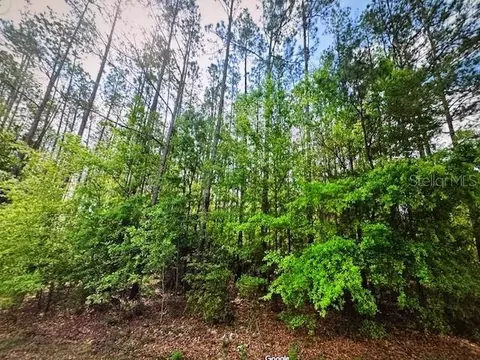 SW 52 Terrace, Jasper, FL 32052