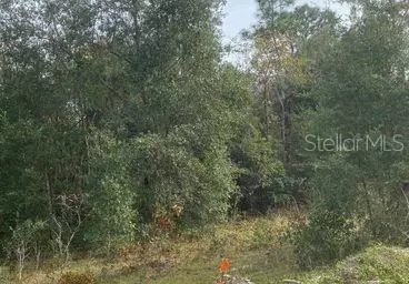 S Samsula Dr, New Smyrna Beach, FL 32168