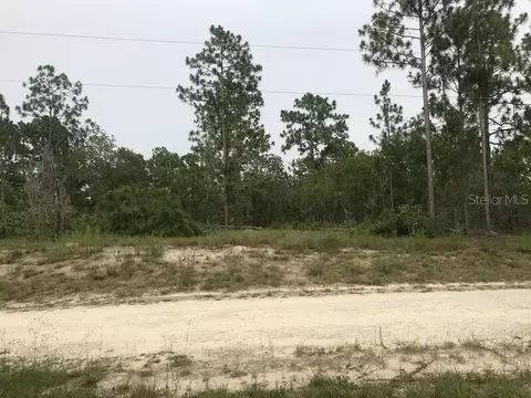 0 146th Ter, Williston, FL 32696
