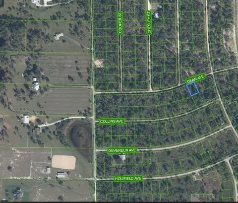 3236 Dean Ave, Lake Placid, FL 33852