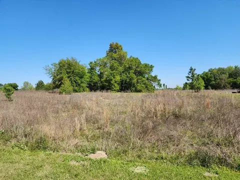 14905 SW 29th Ln, Ocala, FL 34481