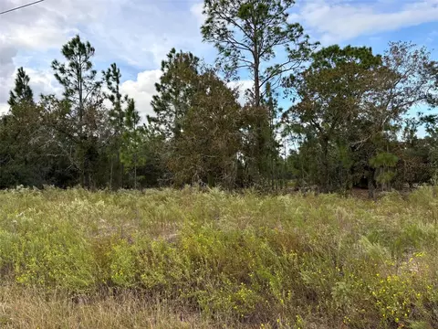 SW Surf Boulevard, Dunnellon, FL 34431