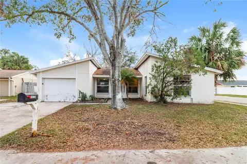 10106 Royal Acres Ct, Tampa, FL 33615