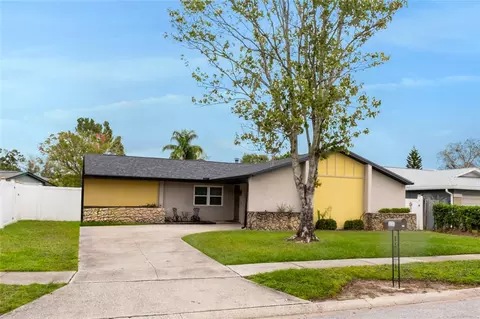 3237 Black Pine Ave, Winter Park, FL 32792