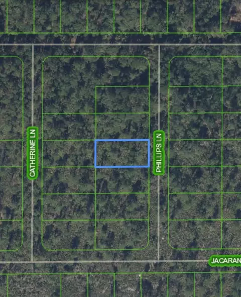 lot11 Phillips Ln, Lake Placid, FL 33852