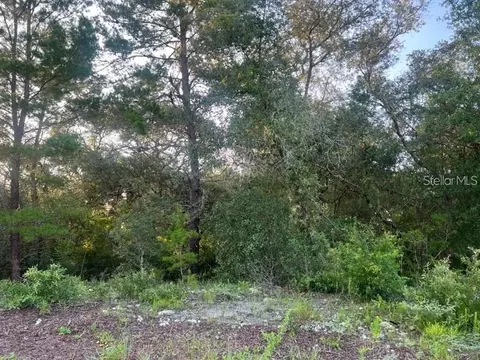 8839 N Citrus Springs Blvd, Citrus Springs, FL 34433