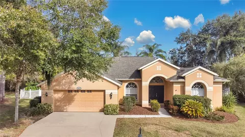 8823 Wavyedge Ct, Trinity, FL 34655