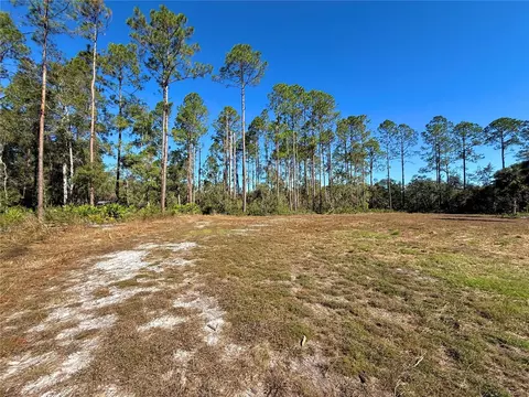 NE Unassigned Avenue, Old Town, FL 32680