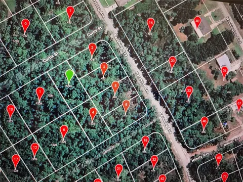 1233 Curtis St, Lake Placid, FL 33852