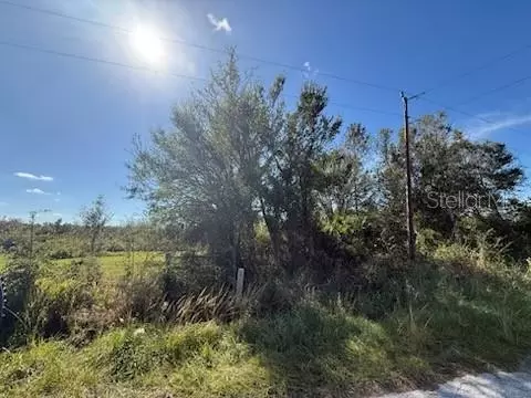 Whippoorwill Lane, Wauchula, FL 33873