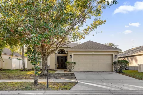 1111 Sea Eagle Ave, Groveland, FL 34736