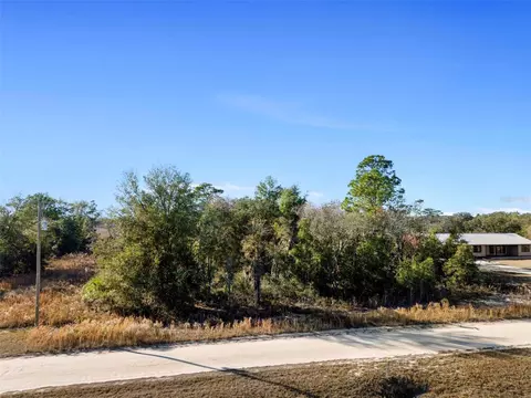 SW 169th Court, Ocala, FL 34481