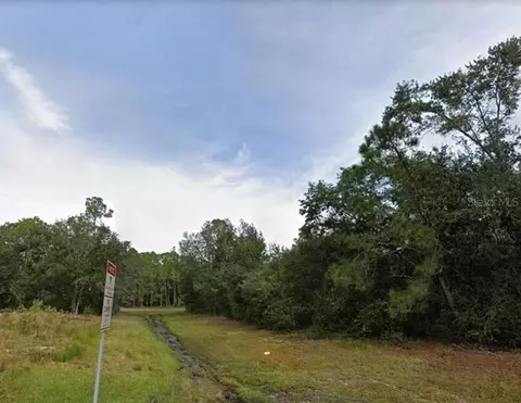 1439 Tern Ct, Kissimmee, FL 34759