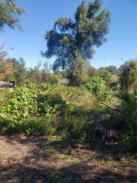 Chestnut Avenue, Orange City, FL 32763