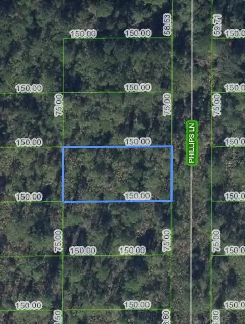 712 Phillips Ln, Lake Placid, FL 33852
