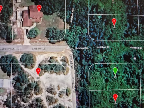 241 Marshall Ave, Lake Placid, FL 33852