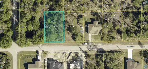 1117 Catenary St, Lehigh Acres, FL 33974