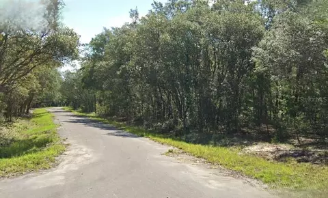Fisher Way Drive, Ocklawaha, FL 32179
