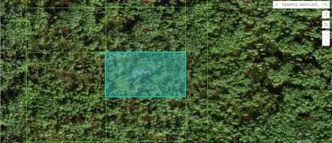Commonwealth Ave N, Polk City, FL 33868