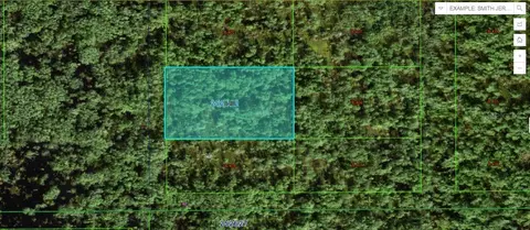 Commonwealth Ave N, Polk City, FL 33868