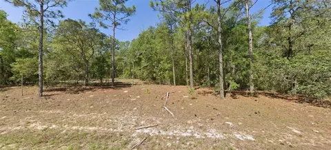 9654 N Dearing Loop, Citrus Springs, FL 34434